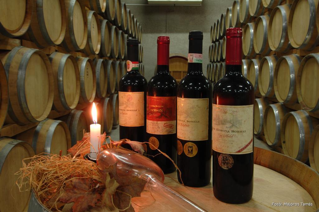Grape&Wine Guesthouse Eger Esterno foto